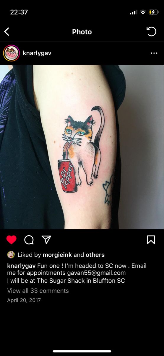 an image of a cat on the back of a woman's arm with text below it