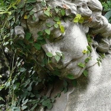 a stone statue with ivy growing on it's face