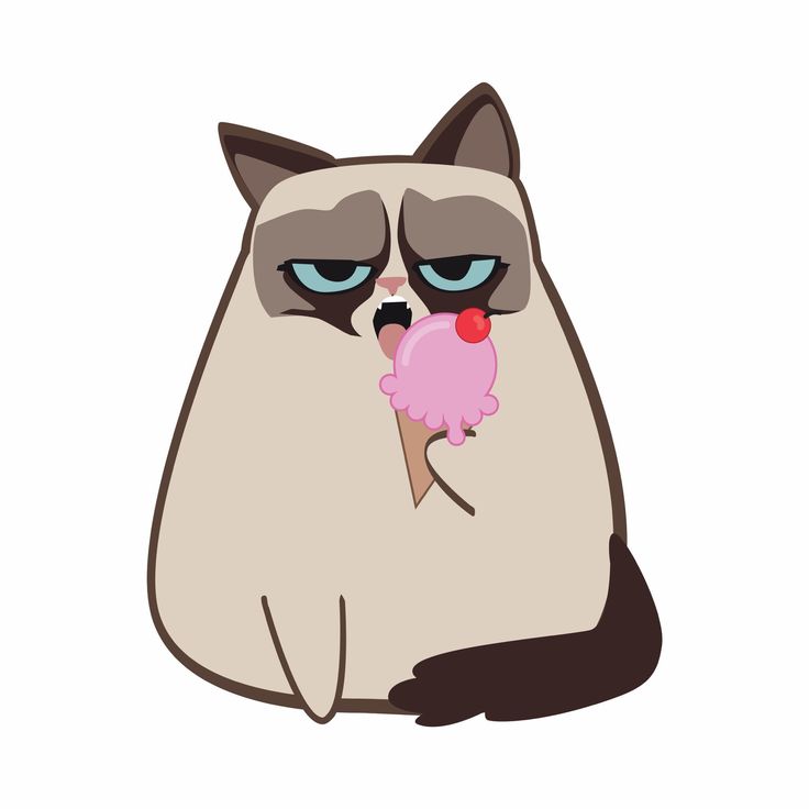 a grumpy cat with an ice cream cone in its mouth, sitting down