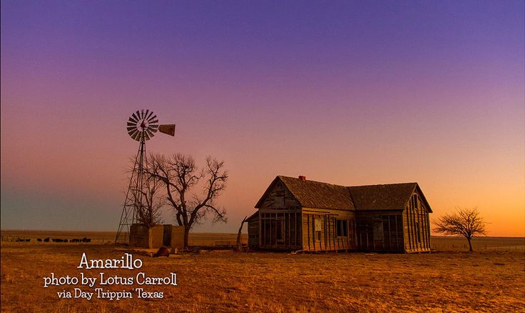 an old farm house with a windmill in the background at sunset or dawn, on a dry grass field