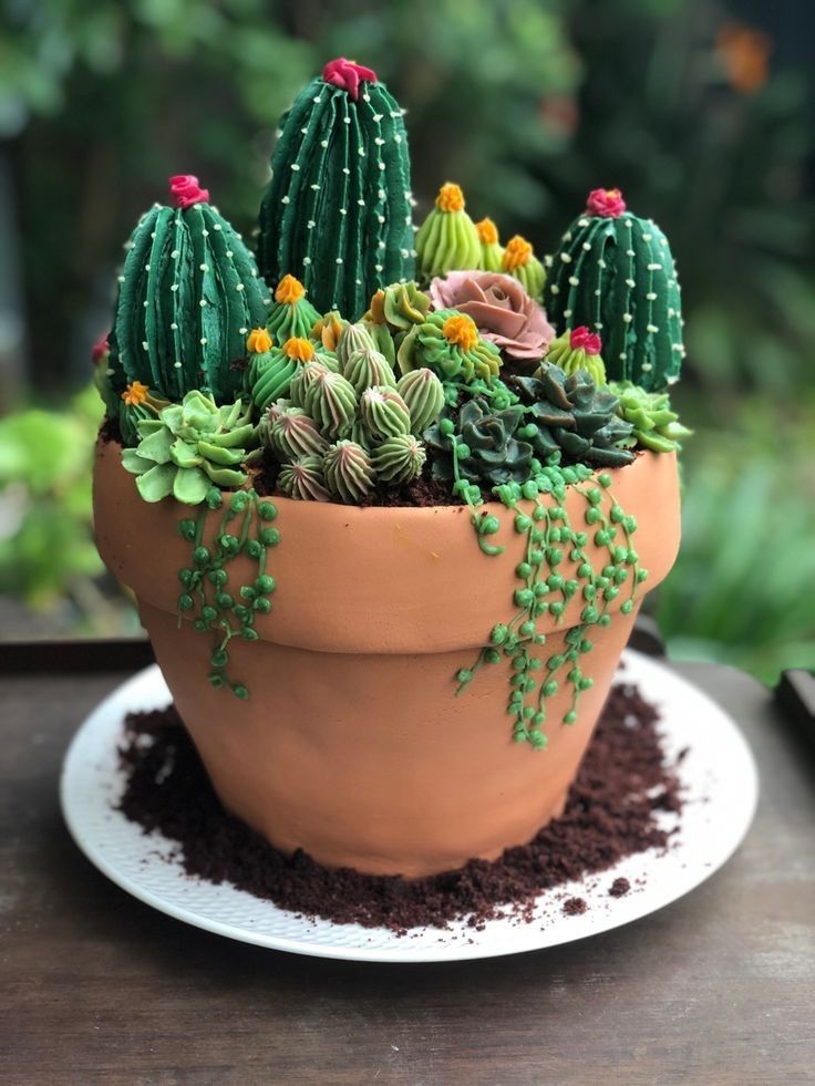 a small potted plant on top of a white plate with dirt and plants in it