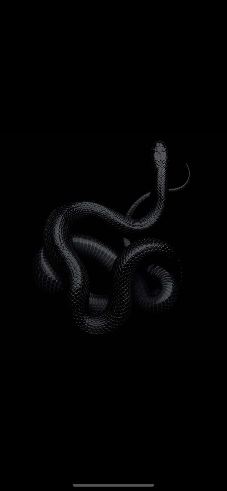 a black and white snake on a dark background with the words, don't touch me