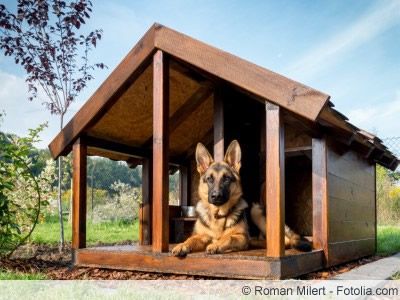 a german shepherd dog sitting in his kennel with the words best insulated dog house for cold weather 5 of the best