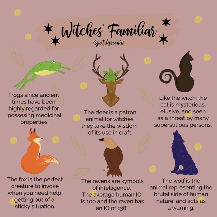 We often hear the term “familiar” nowadays, it is applied to the favourite pet of a magickal practitioner. More often, we think of a familiar as an animal that we have a deep spiritual connection with, who guides us to make important life decisions, or even aids in spell work. ⠀ Witches And Familiars, Animal Familiars Witch, Witch Familiar Aesthetic, Witch’s Familiar, Different Types Of Spirits, How To Get A Familiar Witchcraft, Familiars Witchcraft, Animal Witchcraft, Familiars Witch Animal