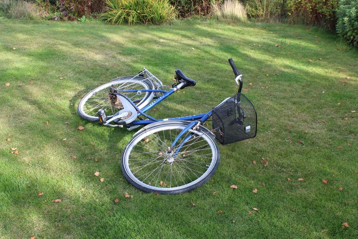 a blue bicycle parked on top of a lush green field