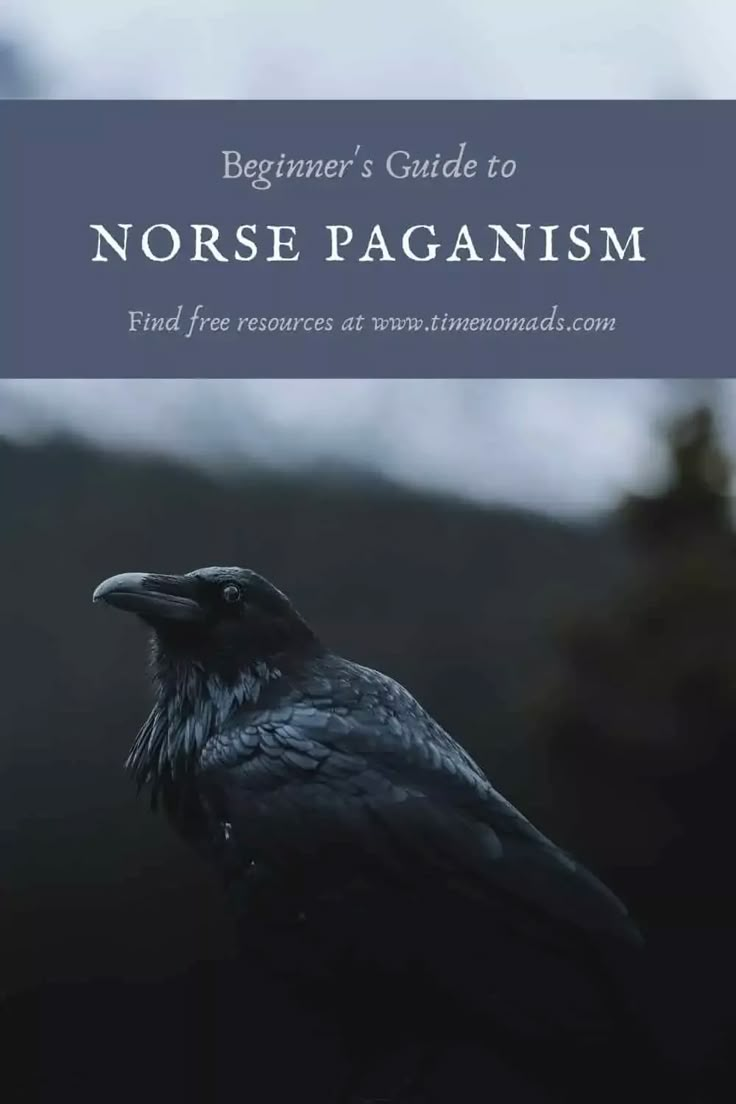 a black bird with the title beginner's guide to nonsense paganism