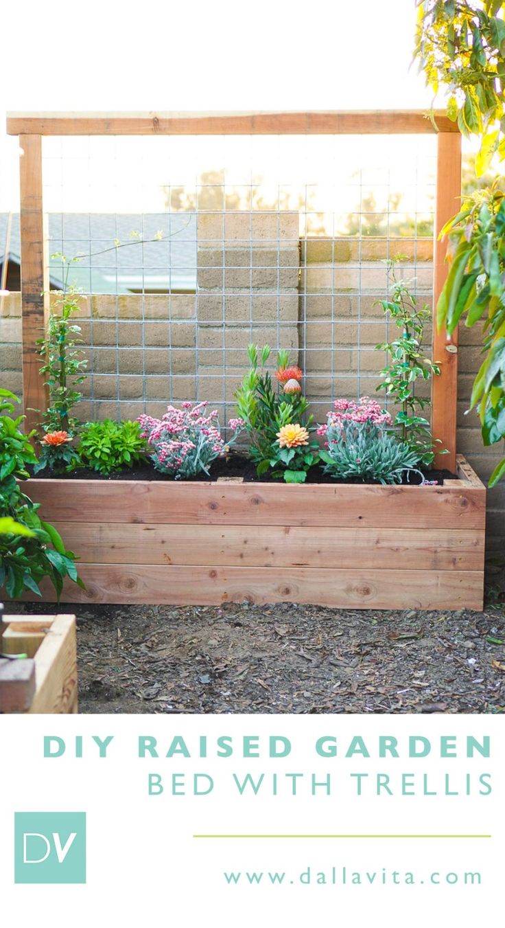 a garden bed with trellis and flowers in it