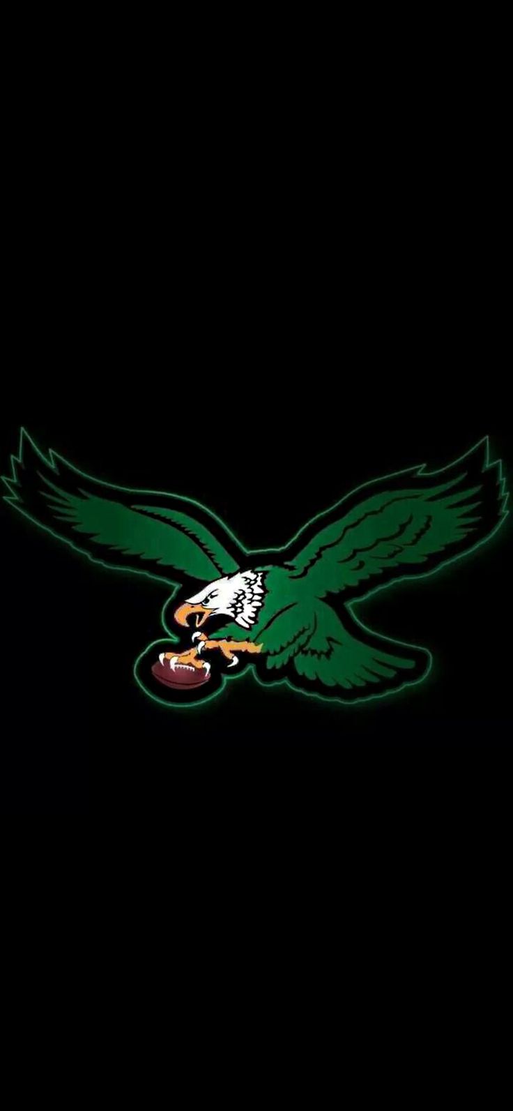 an eagle with a football in its talon on a black background is the logo of the university of north carolina