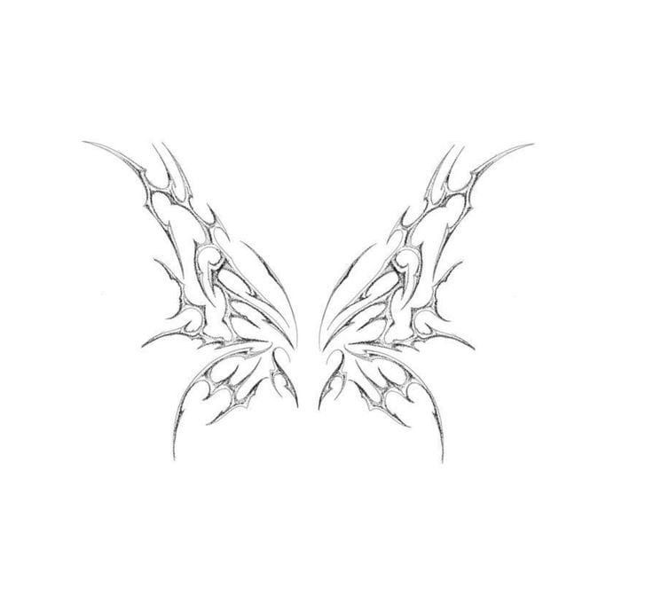 a drawing of two wings on a white background