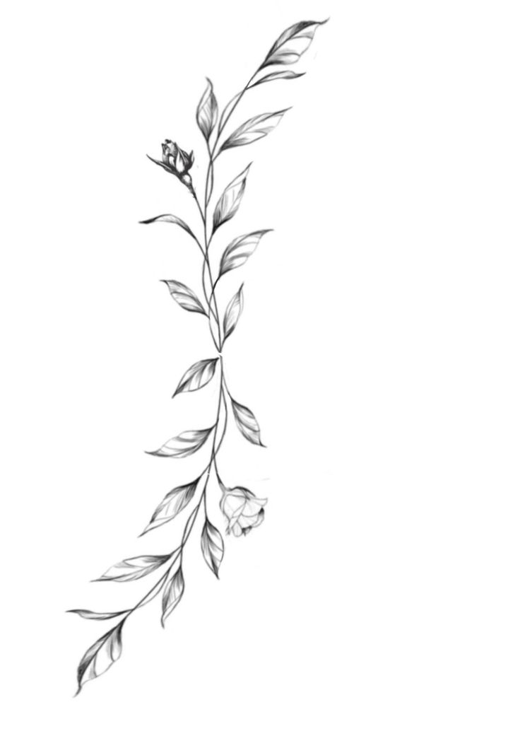 a black and white drawing of a branch with leaves