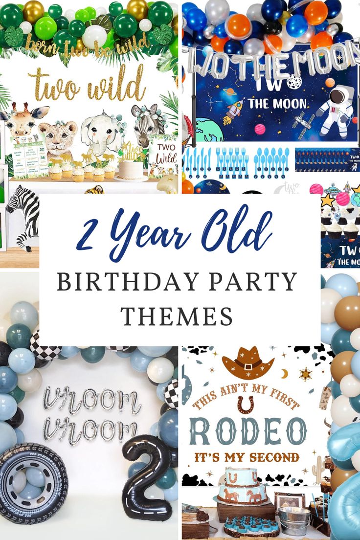 two year old birthday party themes