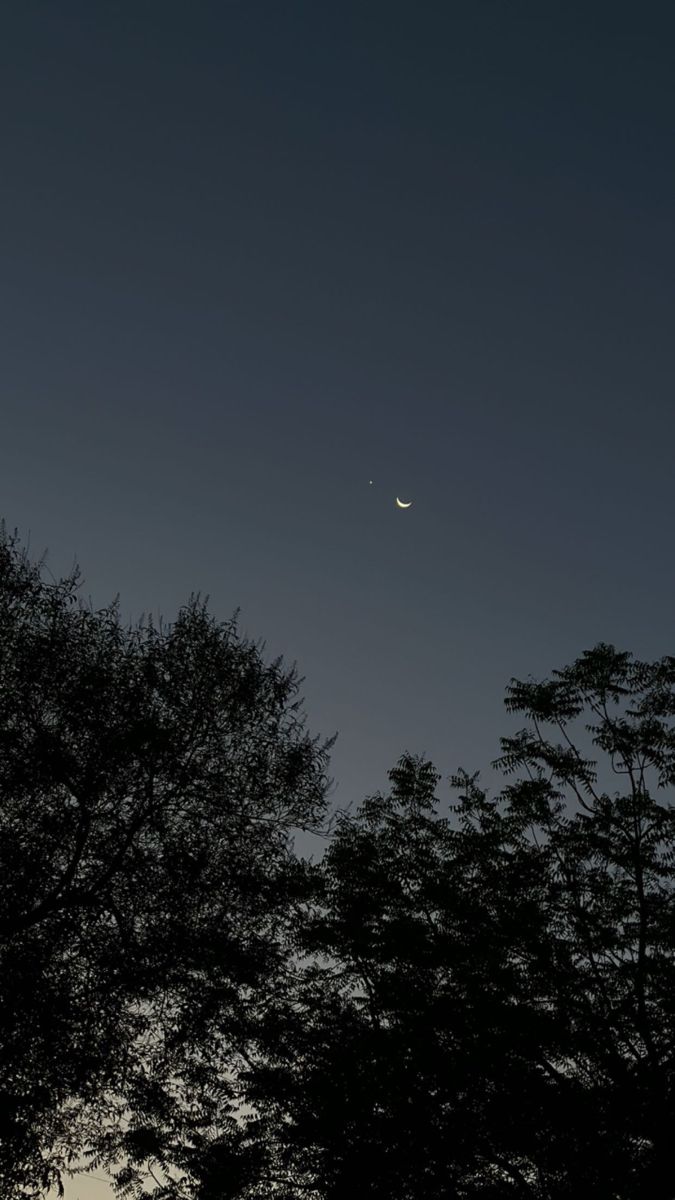 the moon and venus are seen through some trees