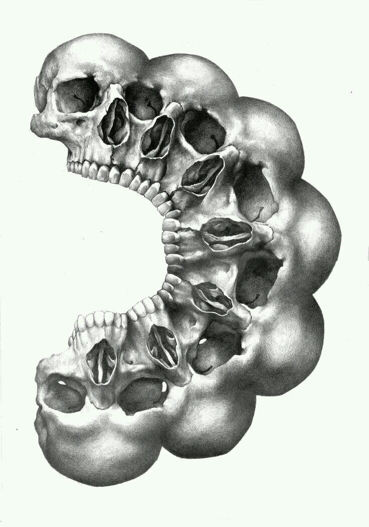 a drawing of a human skull in the shape of a letter c