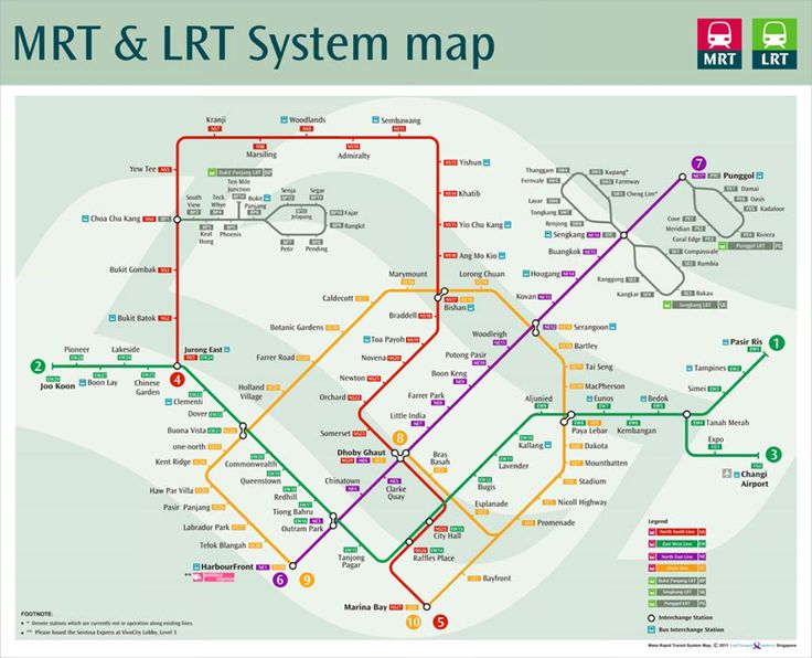 the mtt and lrt system map