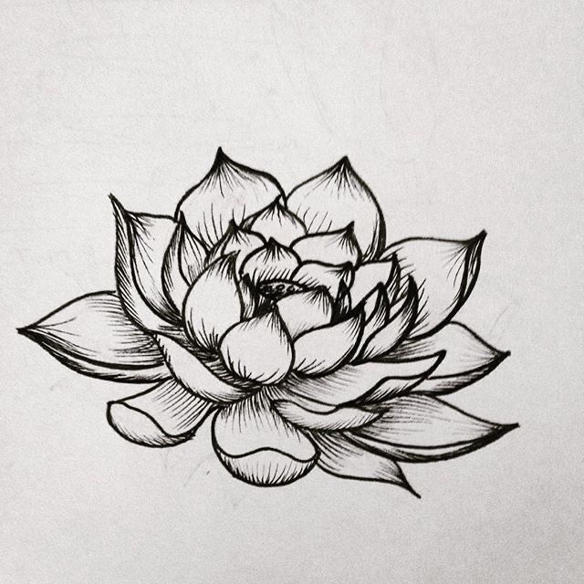 a black and white drawing of a flower on a piece of paper that is drawn in pencil