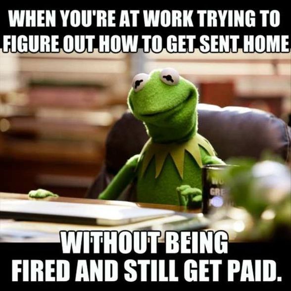 kermie the frog sitting at a desk with text that reads, when you're at work trying to figure out how to get sent home without being fired and still get paid