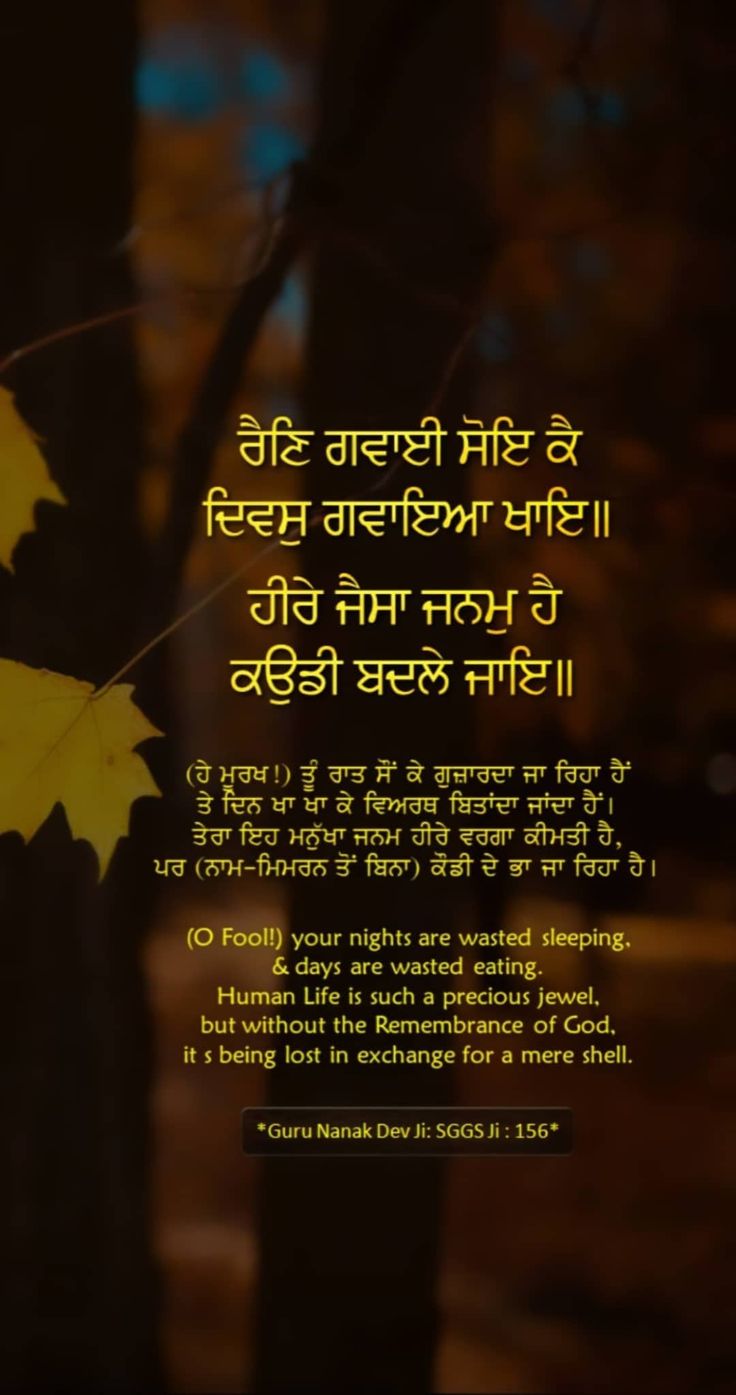 Sikhi Quotes, Gurbani Wallpapers, Guru Granth Sahib Ji Quotes, Mool Mantar, Granth Sahib Quotes, Baba Deep Singh Ji, Guru Granth Sahib Quotes, Guru Gobind Singh Ji, Sri Guru Granth Sahib