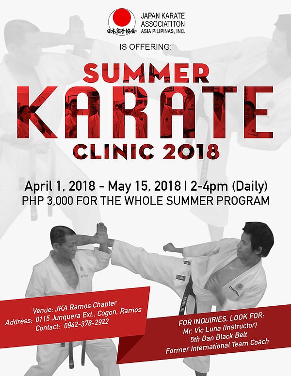 an advertisement for the summer karate clinic