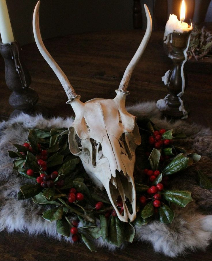 an animal skull with antlers and holly wreaths on a table next to candles