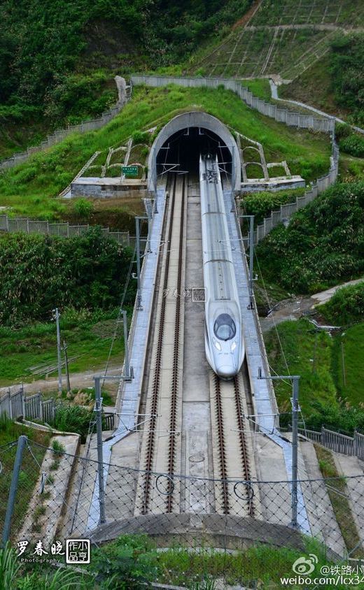 an aerial view of a train coming out of a tunnel with grass growing on the roof