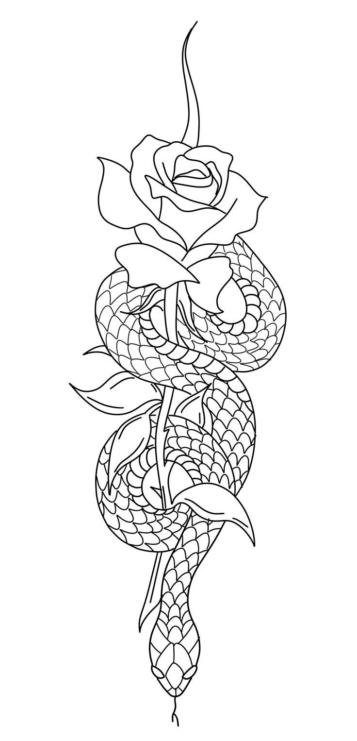 a snake and rose tattoo design on a white background