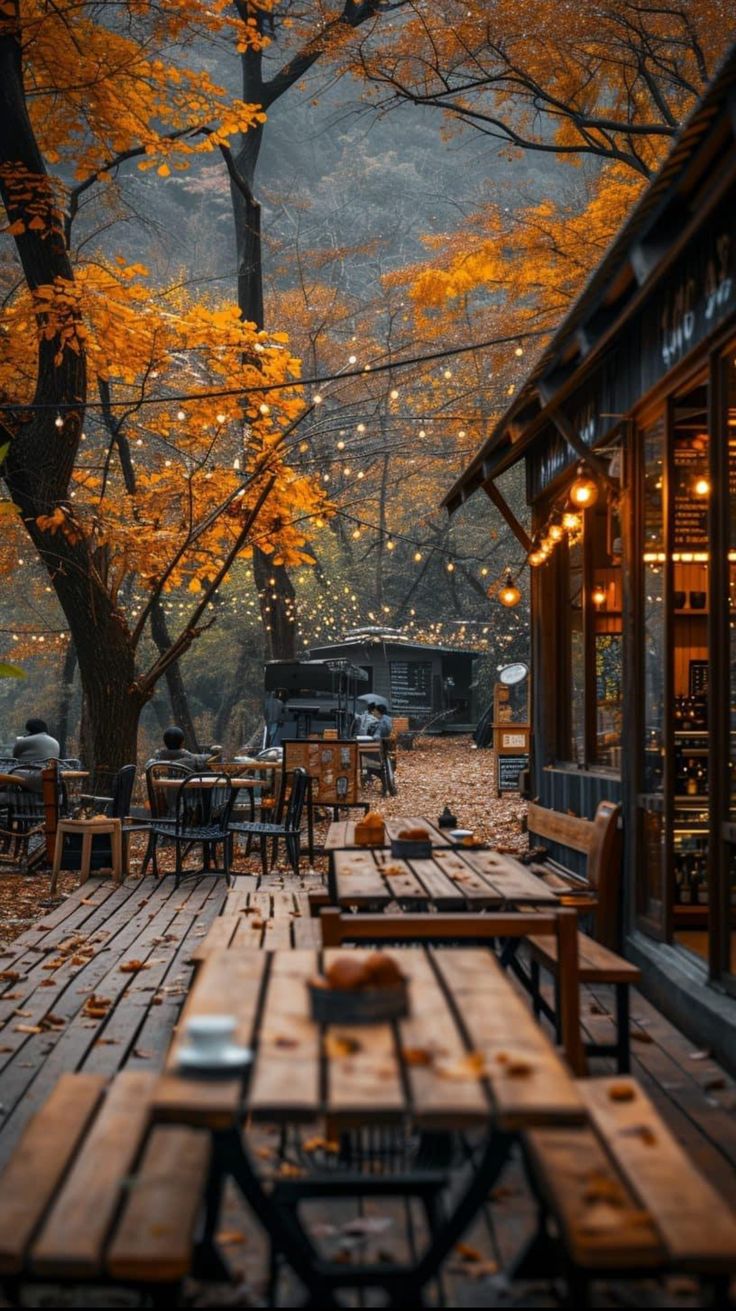 an outdoor restaurant with wooden tables and benches in the fall season, surrounded by trees