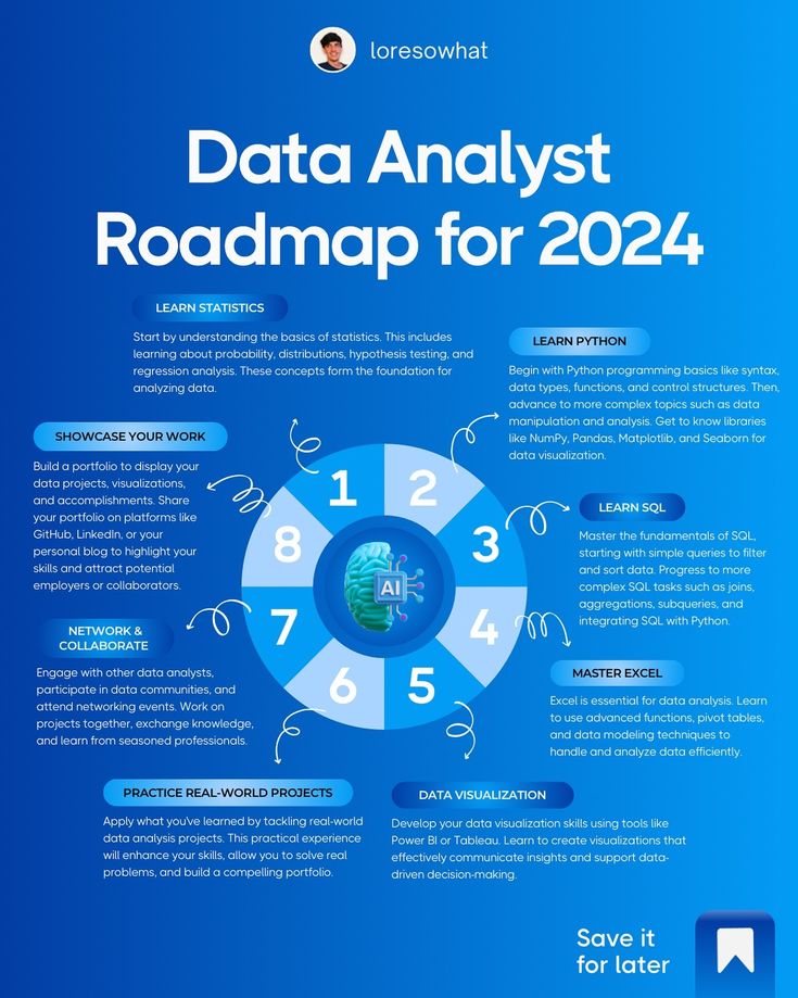 the data analist roadmap for 2024