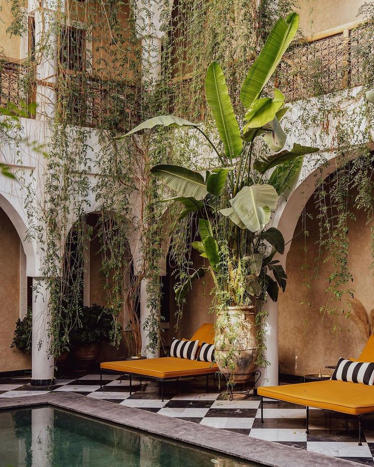 an indoor swimming pool with yellow lounge chairs and green plants hanging from the ceiling over it