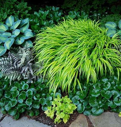 a garden with lots of green plants and rocks