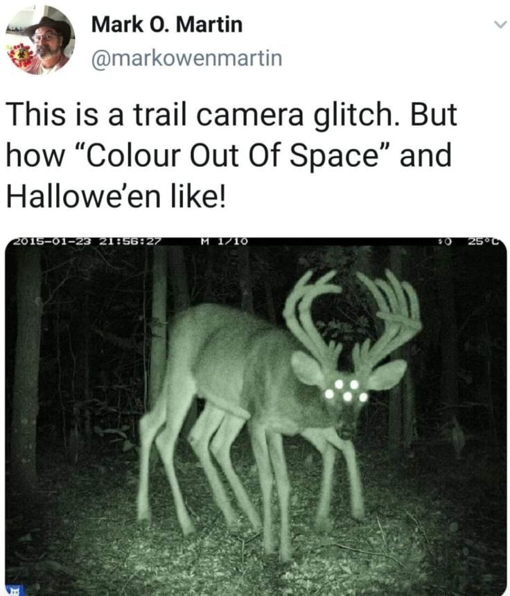 a deer in the dark with its mouth open and it's eyes glowing green