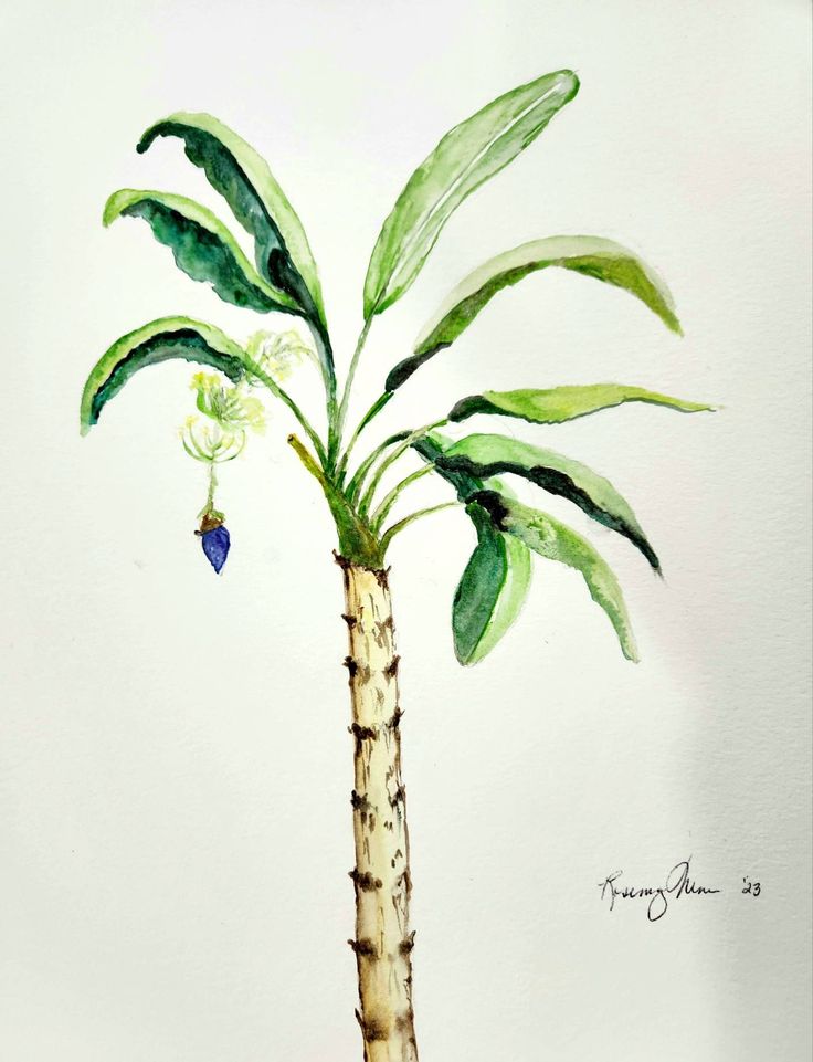 a watercolor painting of a palm tree with green leaves and purple flowers on it