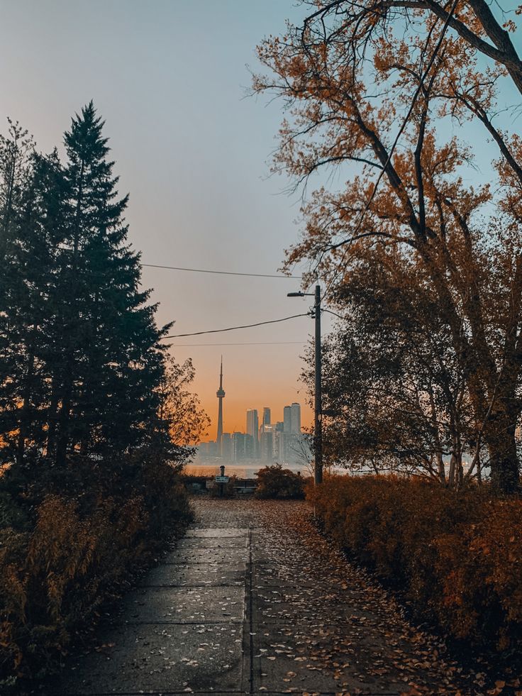 the sun is setting behind some trees and bushes in front of a body of water