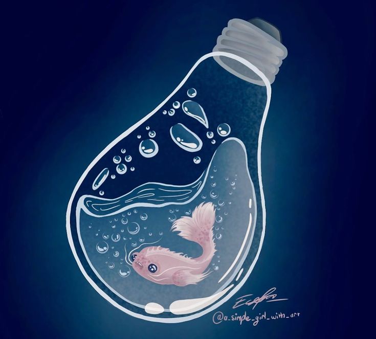 an illustration of a light bulb with a fish in it