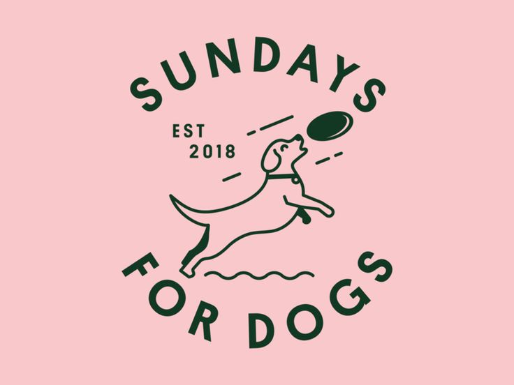 a pink background with the words sunday's for dogs and a dog catching a frisbee