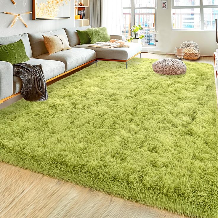 a living room filled with furniture and a green rug