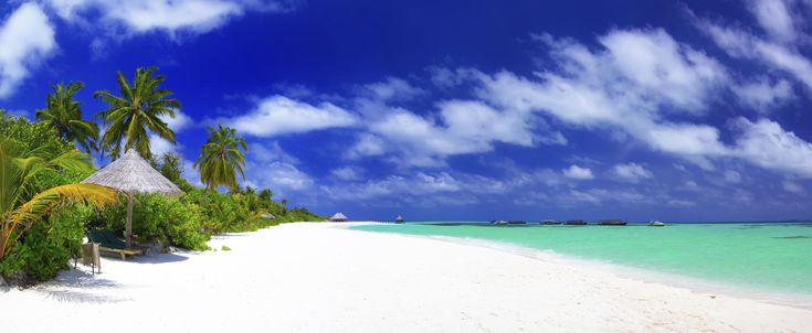 the beach is lined with palm trees and thatched huts on it's sides