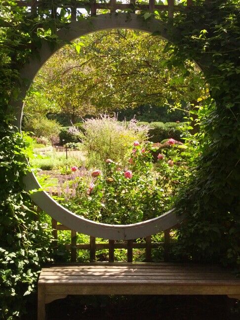 a wooden bench sitting in the middle of a garden