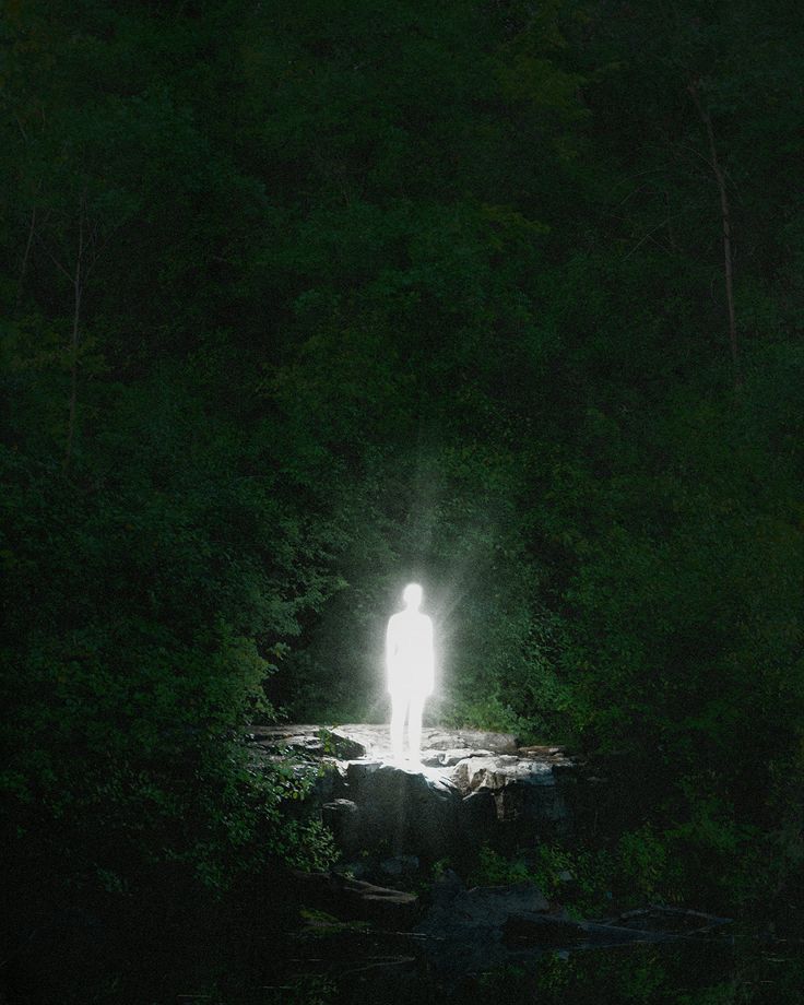 a person standing in the middle of a forest at night with a light shining on them