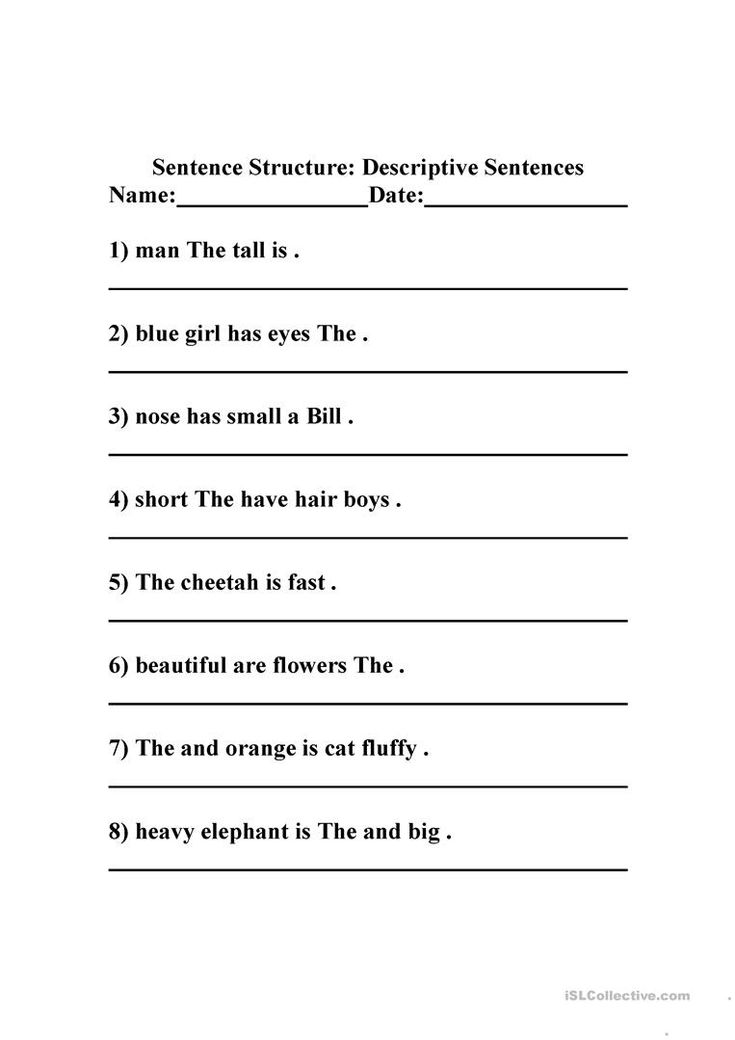 sentence structure worksheet for students