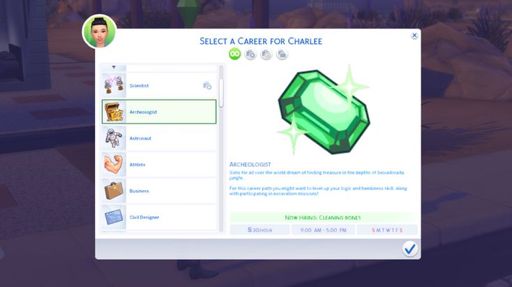 an image of a computer screen with the name select a career for caraibee on it