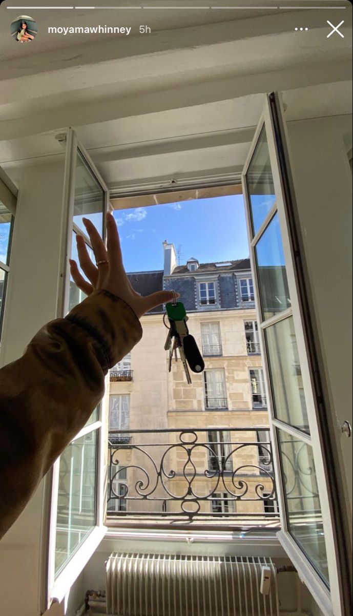 a dog is looking out an open window at the street outside and someone holding their hand up