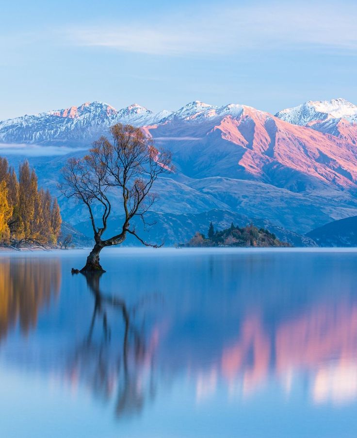 a lone tree stands in the middle of a lake with mountains in the background at sunset