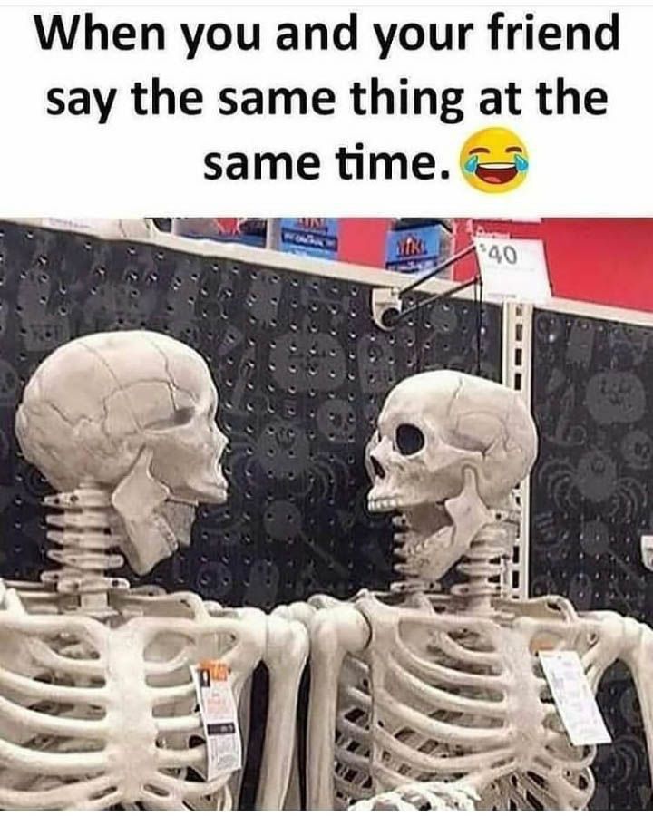 two skeletons sitting next to each other with the caption saying, when you and your friend say the same thing at the same time