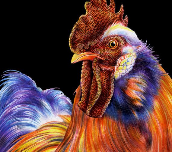 a colorful rooster is standing in front of a black background