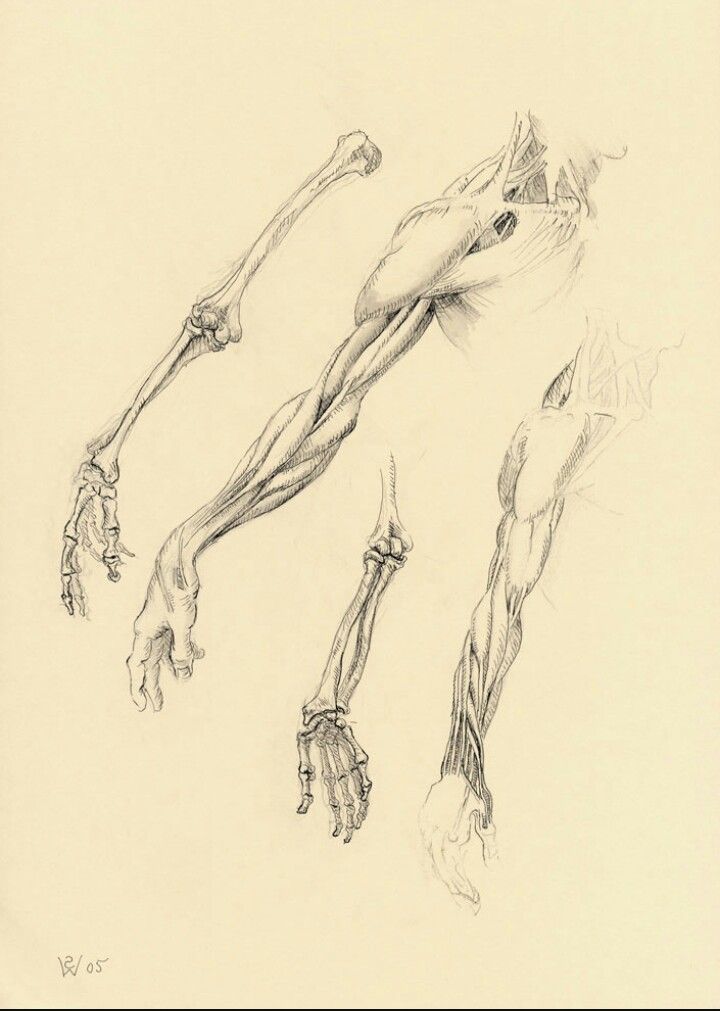 an image of a drawing of legs and hands in the shape of a human body