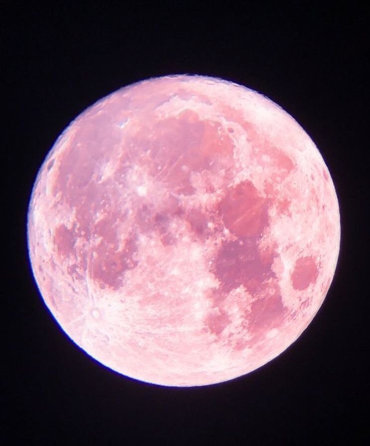 the full pink moon is visible in the dark sky