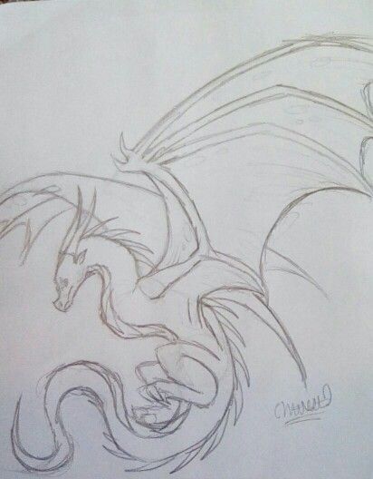 a drawing of a dragon on paper