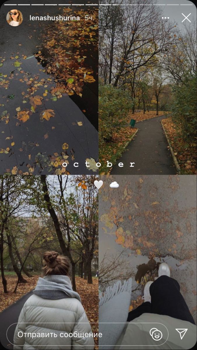 four different pictures with leaves on the ground and trees in the background, one is looking down at someone's feet