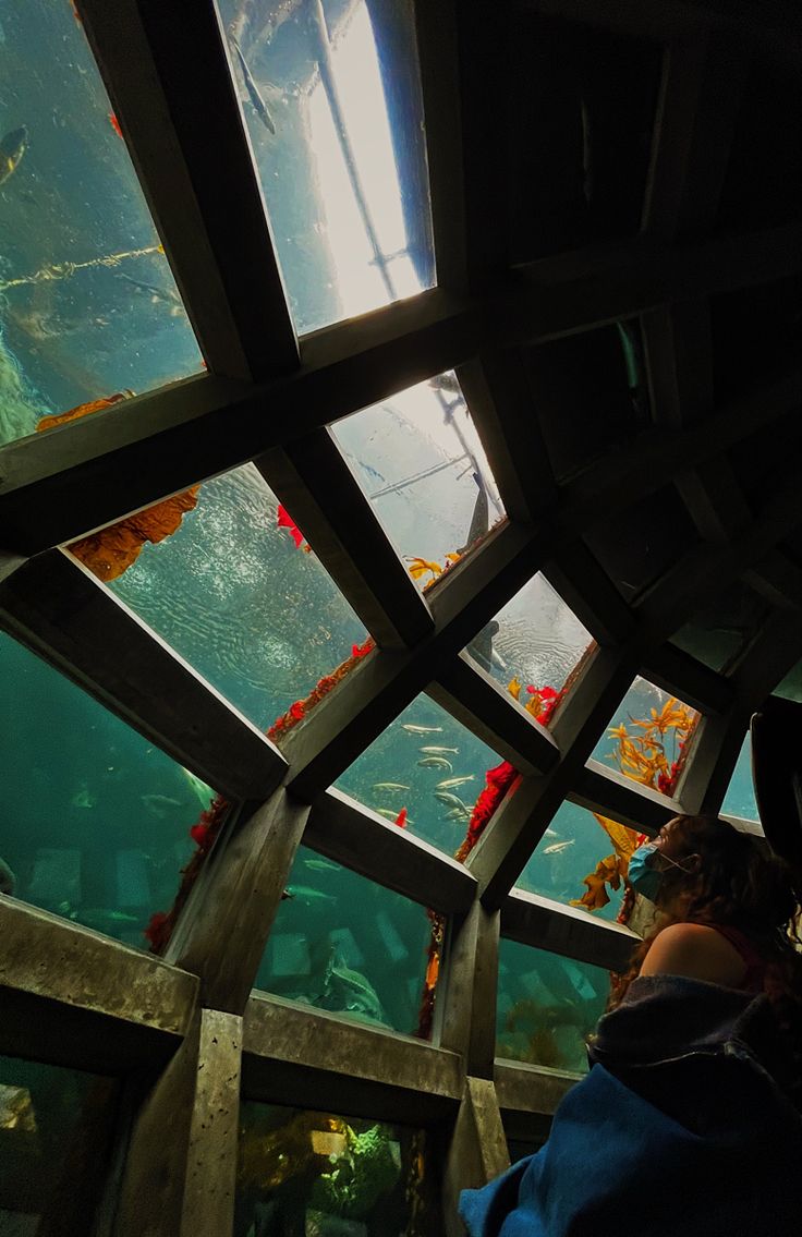 people looking at fish in an aquarium through the glass roof above them is a person standing on a boat