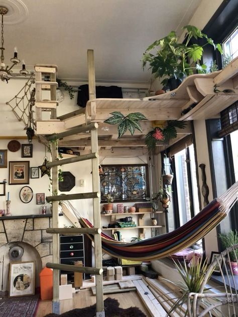 a living room filled with lots of furniture and plants on the wall next to a hammock